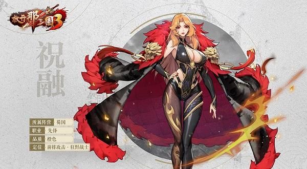 三国乱世中的祝融穿啥装备好一点？（口水三国魏国武器选择）