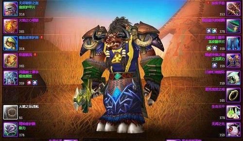 tbc德鲁伊能用什么武器？（魔兽世界野性德鲁伊拿什么武器）