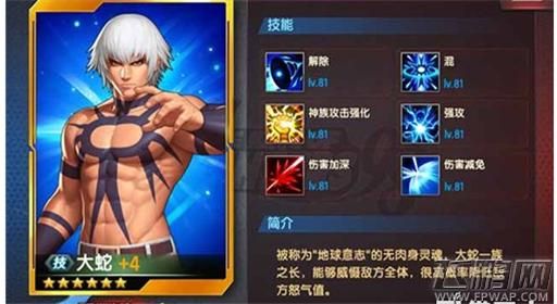 格斗家最新版本最强阵容？（格斗家巨龙武器）