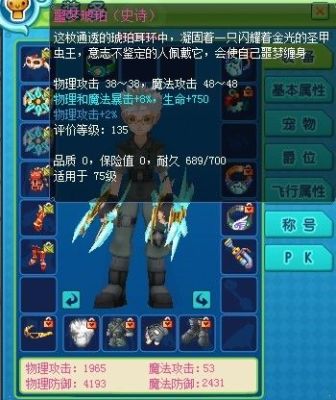 老飞飞绿装，武器名字谁能记全？（老飞飞装备105精神武器）