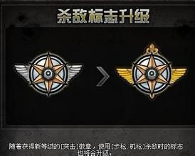 cf勋章怎么显示？（穿越火线用什么武器杀敌才显示精英徽章）
