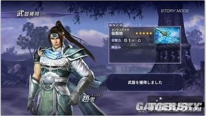无双大蛇Z赵云连招问题？（无双大蛇z赵云四级武器）