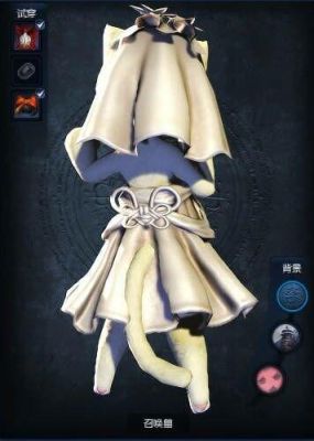 ctm问下布甲胸部可以幻化成白色婚纱吗？（剑灵剑士幻化武器纯白的）