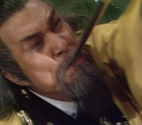 少阳剑的背景故事？（张无忌的武器大师）