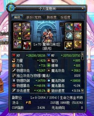 DNF刺客武器装备？（dnf刺客能买到的武器）