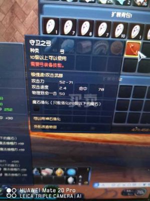 永恒之塔弓装备？（永恒之塔 城堡武器）