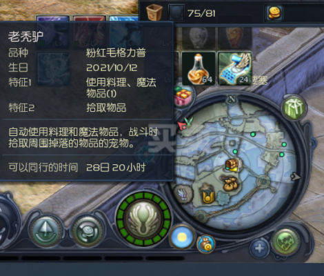 永恒之塔魔族40级魔道装备选择？（永恒之塔魔族41级黄金武器）