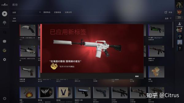 csgo所有武器都能改名字吗？（csgo武器改名又颜色）