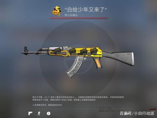 csgo所有武器都能改名字吗？（csgo武器改名又颜色）