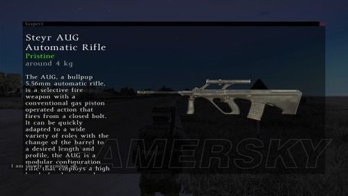 dayz游戏介绍？（dayz独立版武器介绍）