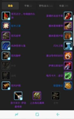 鸟德pvp装备怎么配？（6.2鸟德pvp武器选择）