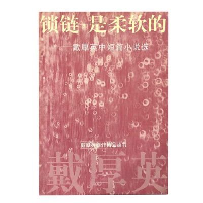 有一部小说男主角的武器是银锁链是什么小说？（主角的武器是锁链）