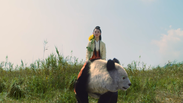 卖炭妞为什么要杀徐凤年？（被武器近身就死）