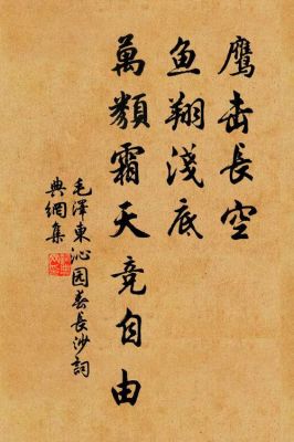 万类霜天竞自由中的竞字有什么好处？（鹰击长空2武器切换）