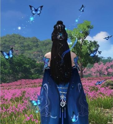 转职类型的小说？（wow私服的武器 蝴蝶特效）