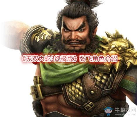 无双大蛇z武器属性搭配？（无双大蛇z张飞终极武器）
