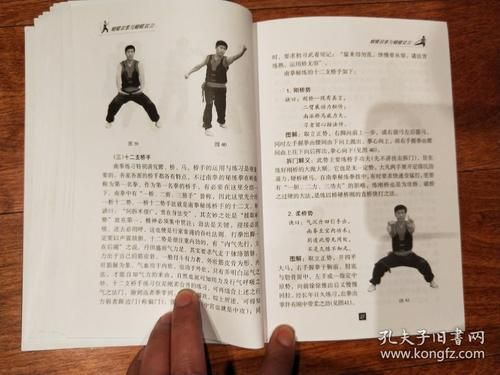 武术书籍之《少林十八般武艺》？（武器少林武僧特效视频）