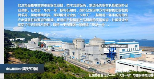 中信特钢企业使命？（钢铁使命武器选择）