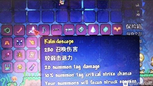 泰拉瑞亚武器特效怎么关？（泰拉瑞亚破解版无限武器装备下载）