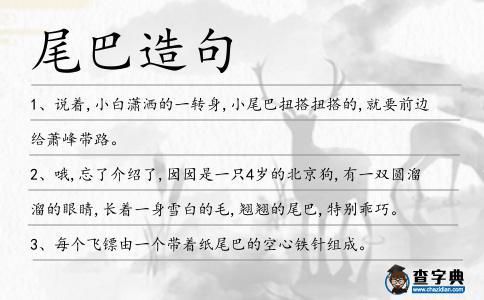 什么的尾巴可以用来干什么造句？（什么的尾巴当武器）