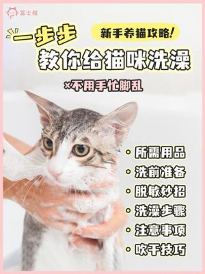 猫洗澡可以用洗手液不，要怎么样给猫咪洗澡？（水属性猫武器）
