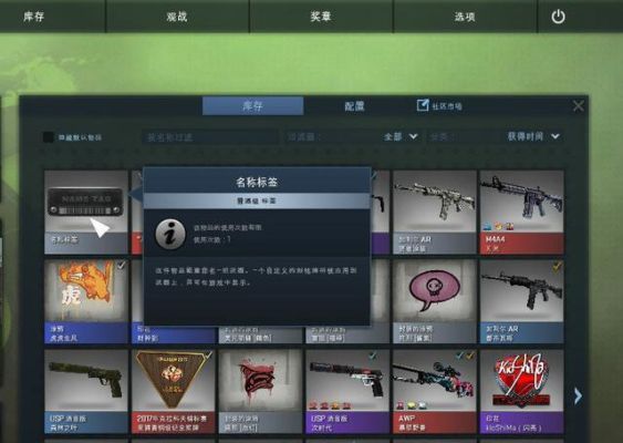 csgo武器改名注意事项？（csgo武器更名）
