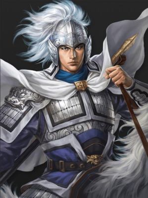 三国志2霸王大陆武器有什么作用，赵云拿把刀和拿把枪有什么区别吗，没有区别都拿方天戟算了？（霸王2武器说明）