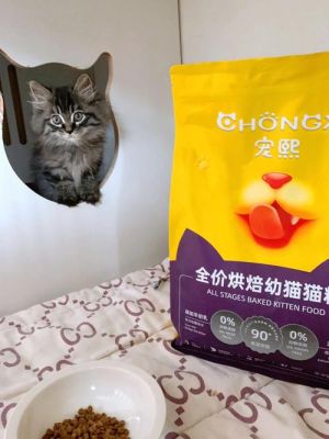 猫耳fm猫粮怎么获得？（6.2猫德武器fm）
