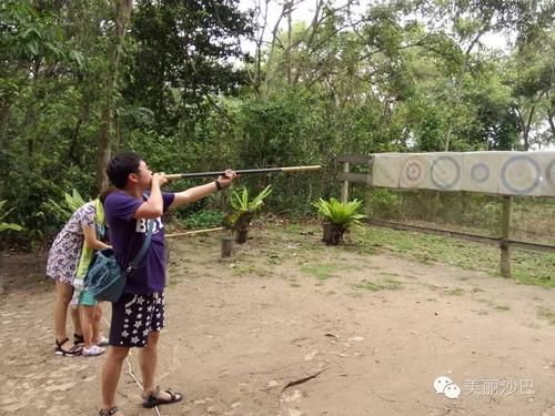 野鸡在野外怎么喝水？（打野鸡游戏怎样升级武器）