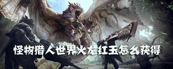 雌火龙的红玉怎么得？（火龙的红玉做什么武器）