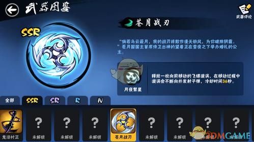 苍月战刃带什么咒印？（苍月 隐藏武器）