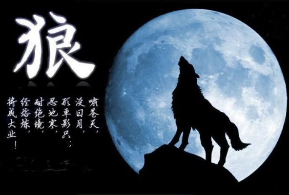 内蒙古狼的故事？（曹操传苍狼白鹿传武器）