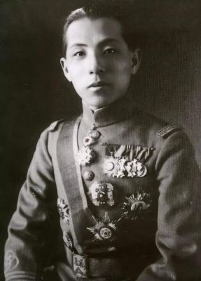张学良是什么星座？（双子星座军阀大型武器）