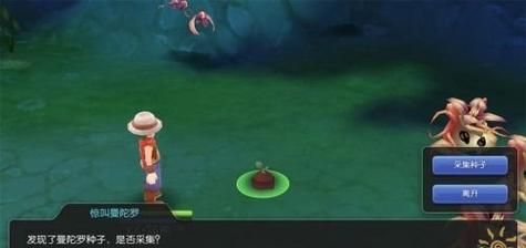 ro手游曼陀罗种子怎么获得？（商人武器ro）