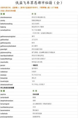 罪恶都市护盾秘籍？（侠盗飞车罪恶都市秘籍武器秘籍）