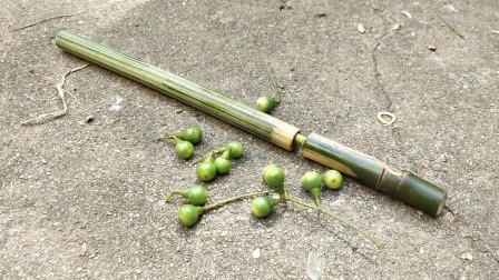 竹子能做什么暗器？（竹子制作的武器）