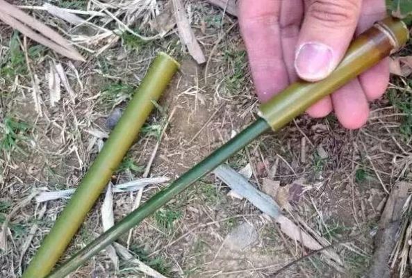 竹子能做什么暗器？（竹子制作的武器）