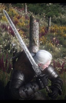 巫师3新手武器？（巫师2加强版 武器）