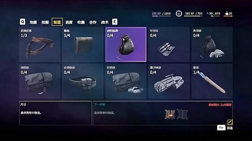 孤岛惊魂4武器枪袋怎么解锁槽位？（孤岛惊魂4武器伤害修改）