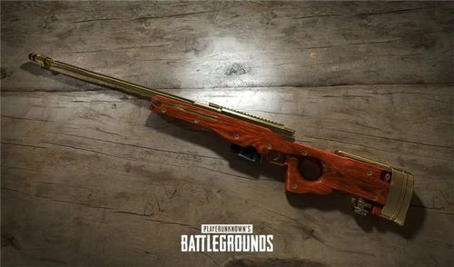 pubg中sr是什么枪？（绝地大逃杀武器组合）