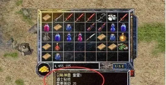 传奇法师多少级可以招神兽？（口袋兽人魔龙之女武器）