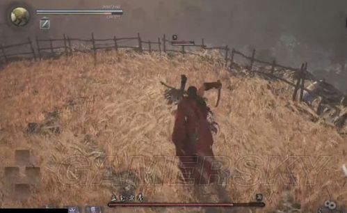 仁王无尽手里剑怎么用？（仁王武器 无想剑）