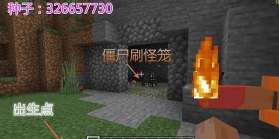 我的世界甘蔗林世界种子？（迷你世界有武器的种子）