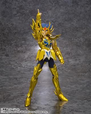 黄金圣斗士巨蟹座使用的武器？（黄金圣斗士天枰座武器）