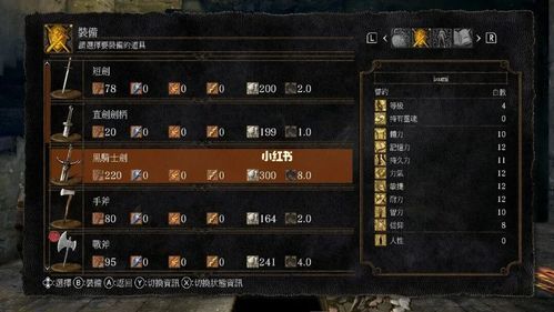 黑暗之魂1魔法师加点？（黑魂1武器怎么加11）