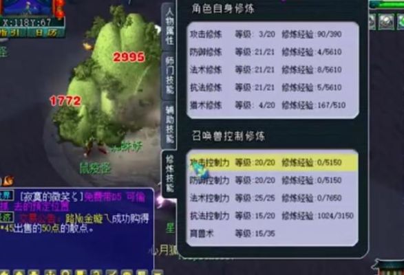 梦幻西游129物理武器要多少伤害？（梦想世界130级武器）