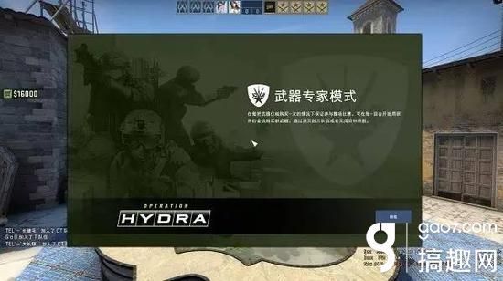 九头蛇武器箱能开出什么？（九头蛇武器专家进入）