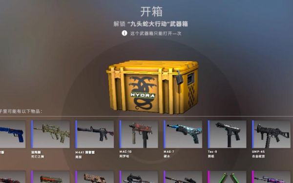 九头蛇武器箱能开出什么？（九头蛇武器专家进入）
