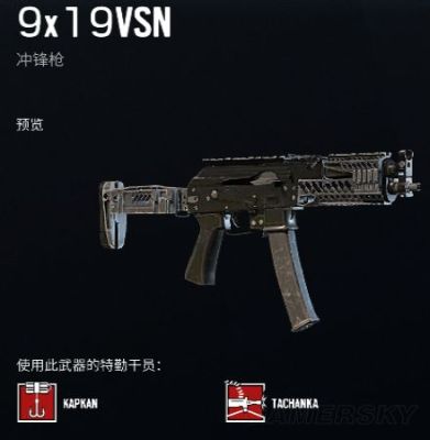 彩虹六号经典武器？（彩虹六号武器伤害）