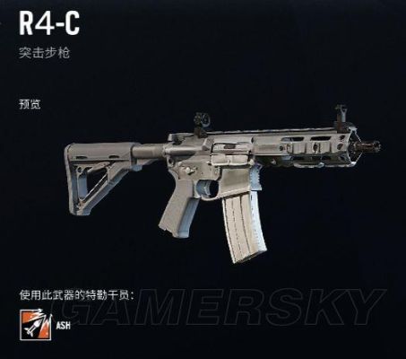 彩虹六号经典武器？（彩虹六号武器伤害）